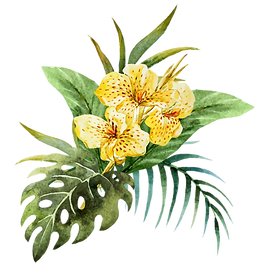 Flower plant bouquet